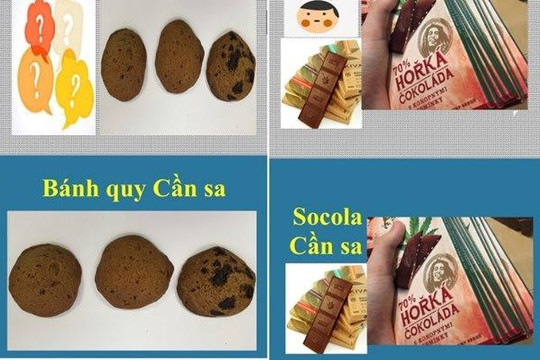 Hiểm họa ma túy: Muôn kiểu đầu độc học sinh, sinh viên