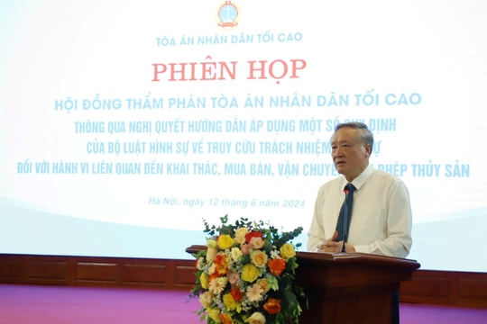 Thông qua Nghị quyết của Hội đồng Thẩm phán TANDTC về truy cứu trách nhiệm hình sự đối với hành vi liên quan đến thủy sản