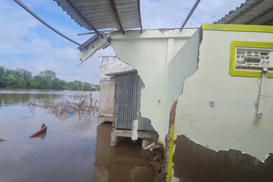 Thị xã Giá Rai : Nhiều khu vực sạt lở ảnh hưởng đến cuộc sống người dân