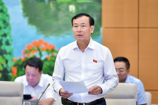 Nhất trí với việc bổ sung "dao có tính sát thương cao" vào nhóm vũ khí thô sơ