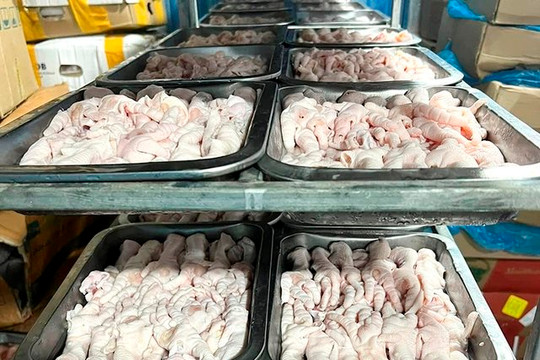 Tạm giữ 3 tấn sản phẩm từ gà không rõ xuất xứ