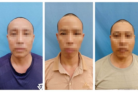 Bắt 3 đối tượng chuyên hành nghề trộm chó