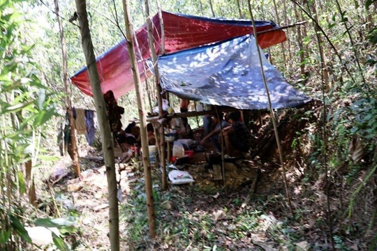 Triệt phá điểm khai thác vàng trái phép ở Quảng Ngãi