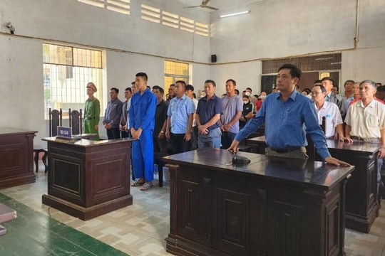 Nhiều cán bộ xã hầu toà vì hủy hoại rừng