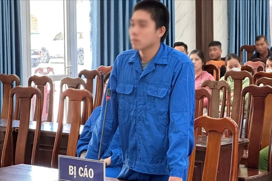 Cướp giật túi của người đi đường, lấy tiền tiêu xài rồi ra đầu thú