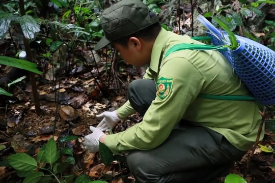 Vườn Quốc gia Cúc Phương mái nhà lý tưởng cho động vật hoang dã