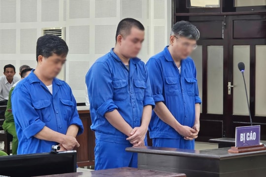 Giám đốc Trung tâm đăng kiểm xe cơ giới Đà Nẵng và thuộc cấp nhận hối lộ