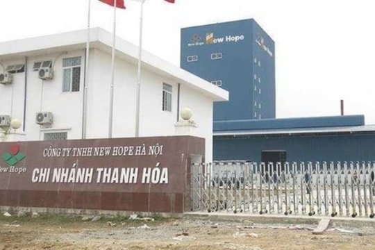 Phát hiện nhiều đơn vị sản xuất thức ăn chăn nuôi vi phạm chất lượng