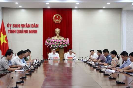 Tăng cường các giải pháp nhằm sớm tháo gỡ "thẻ vàng" IUU