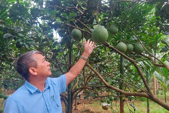 Bình Định: Sở TT&TT, UBND huyện Hoài Ân dẫn đầu chuyển đổi số năm 2023