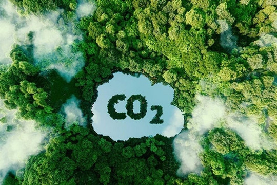 Triển khai kế hoạch liên quan đến mua bán tín chỉ carbon