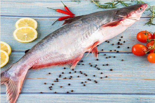 Xuất khẩu cá tra sang thị trường Trung Quốc đạt 203 triệu USD trong 5 tháng đầu năm