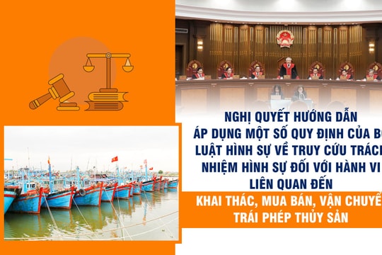 Hướng dẫn áp dụng một số quy định của BLHS về truy cứu trách nhiệm hình sự đối với hành vi liên quan đến thủy sản