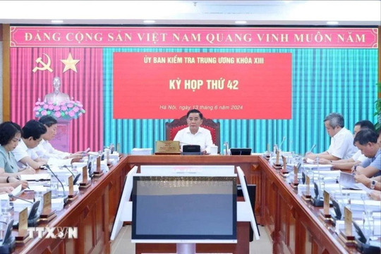 Bộ Chính trị, Ban Bí thư xem xét, thi hành kỷ luật tổ chức đảng, đảng viên