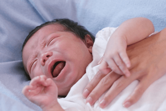 Gia tăng số ca bệnh ho gà ở Thành phố Hồ Chí Minh