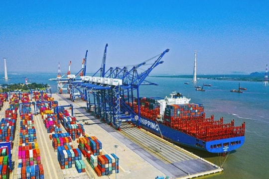 Doanh nghiệp nhỏ bị ảnh hưởng khi cước vận tải biển tăng