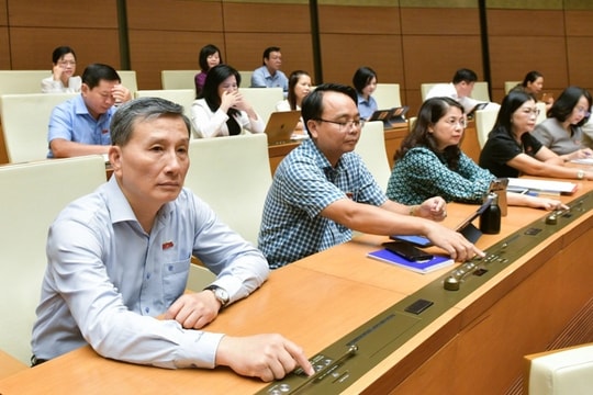 Quốc hội thành lập Đoàn giám sát tối cao về môi trường
