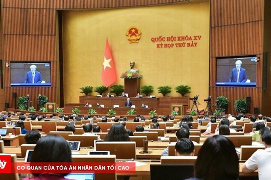 Hôm nay, Quốc hội thảo luận dự án Luật Tư pháp người chưa thành niên