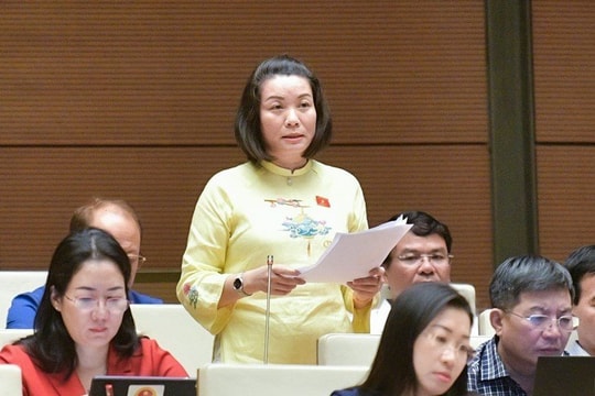 Đại biểu đề xuất biện pháp giáo dưỡng phải do Tòa án quyết định