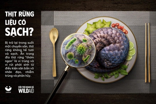 Chung tay bảo vệ động vật hoang dã qua “Chiến dịch thịt rừng sạch - sành - 'xanh'?"