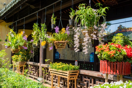 Ngàn hoa khoe sắc tại vườn thượng uyển của Kinh đô Huế xưa