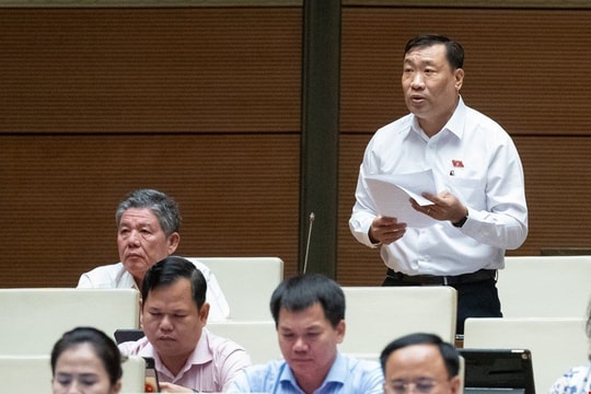 Đề nghị có chế tài xử lý hành vi mua bán thai nhi