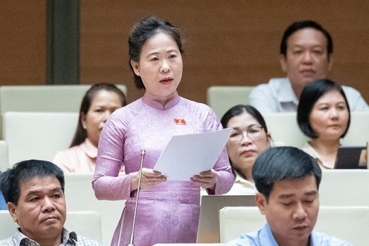 ĐBQH không đồng tình đánh thuế giá trị gia tăng 5% đối với phân bón