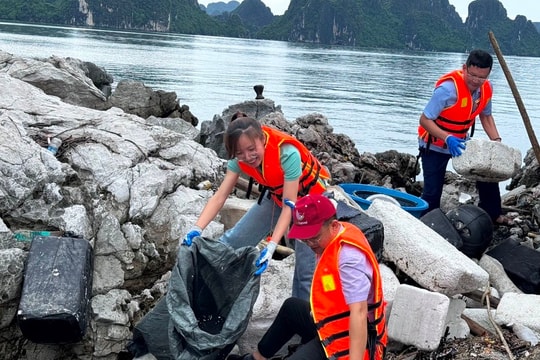 Người làm báo Quảng Ninh ra quân làm sạch môi trường vịnh Hạ Long