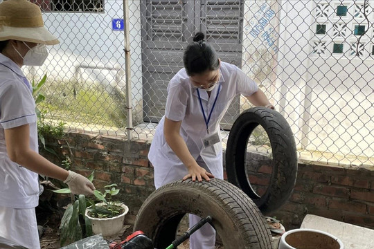 Hải Phòng ghi nhận gần 2.000 người mắc bệnh sốt xuất huyết