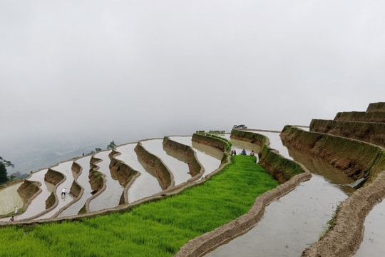 Có một Hà Giang đẹp như bức tranh vẽ trong mùa nước đổ