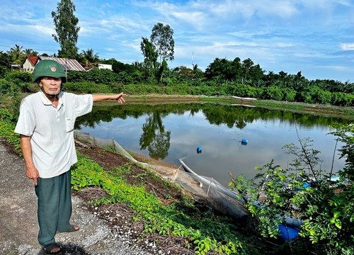 An Giang: Chuỗi liên kết đổ vỡ, hàng chục hộ nuôi cá tra điêu đứng