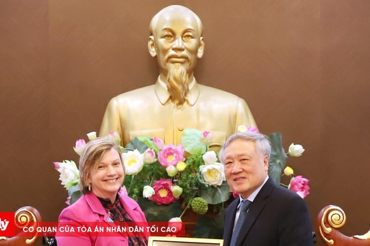 Chánh án TANDTC Nguyễn Hòa Bình tiếp Trưởng đại diện UNICEF tại Việt Nam