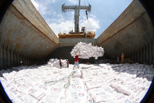 Philippines giảm thuế nhập khẩu gạo, cơ hội cho gạo Việt Nam