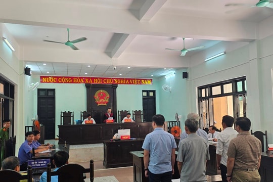 Xét xử vụ án gây thiệt hại cho Nhà nước hơn 11.000m3 gỗ thông