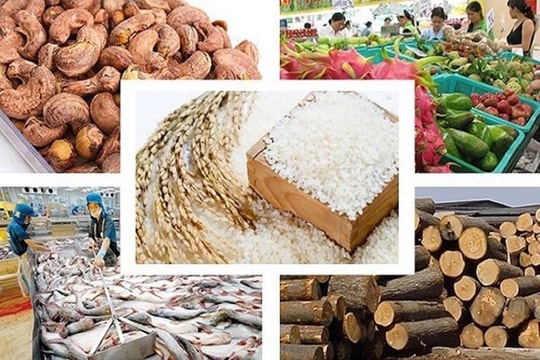 Xuất siêu nông lâm thủy sản tăng 62,4% nửa đầu năm