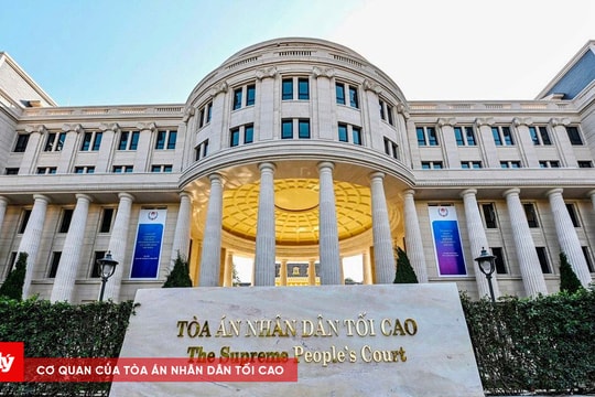 TAND các cấp nghiêm túc xét xử các vụ án rửa tiền