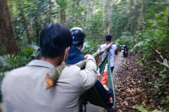 Khám phá thác K50, một người bị cây đè tử vong