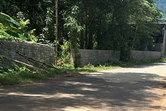 Chị em ruột tương tàn vì đất đai