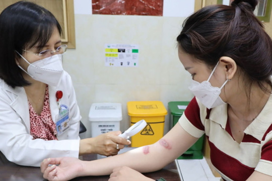 TP. Hồ Chí Minh: Hàng trăm người biến dạng da phải nhập viện vì dịch độc của kiến ba khoang