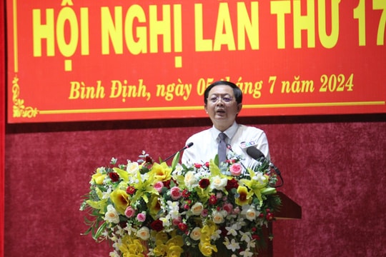 Bình Định: 5 lần đấu giá đất nhưng không có nhà đầu tư
