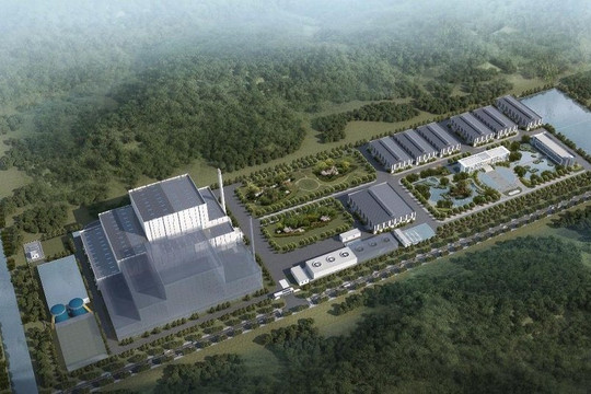 Bamboo Capital sắp phát hành hơn 80 triệu cổ phiếu thưởng cho cổ đông