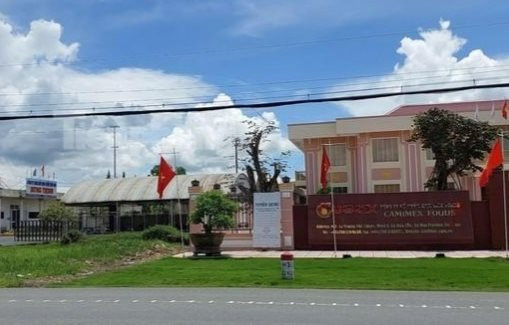 Thu hồi khu đất của Công ty cổ phần Xuất nhập khẩu nông sản thực phẩm Cà Mau