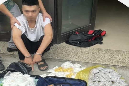 Ngụy trang hơn 18kg ma túy tổng hợp trong các túi bột rau má