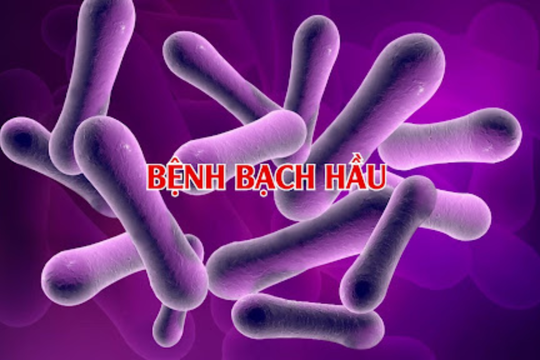 Bộ Y tế yêu cầu tăng cường ngăn chặn, phòng, chống dịch bệnh bạch hầu