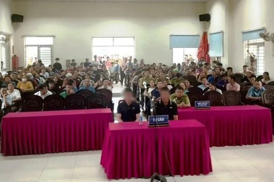 Đốn hạ gỗ quý làm thớt bán lấy tiền