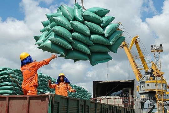 Việt Nam chi gần 700 triệu USD để nhập khẩu gạo nửa đầu năm