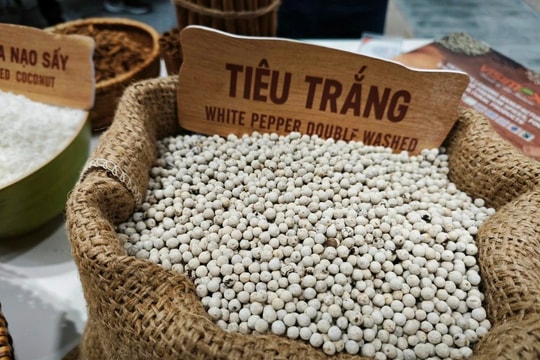 Xuất khẩu hồ tiêu tăng 30,5% về giá trị trong nửa đầu năm