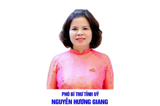 Bị miễn nhiệm Chủ tịch tỉnh, bà Nguyễn Hương Giang tiếp tục giữ chức Phó Bí thư Tỉnh ủy Bắc Ninh