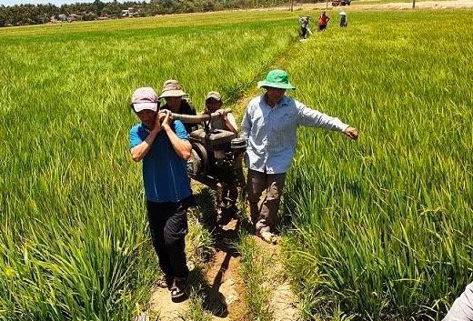 Kiểm điểm Sở NN&PTNT tỉnh Bình Định