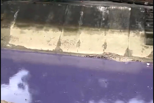 Người dân lo lắng khi nước kênh đổi màu tím bất thường